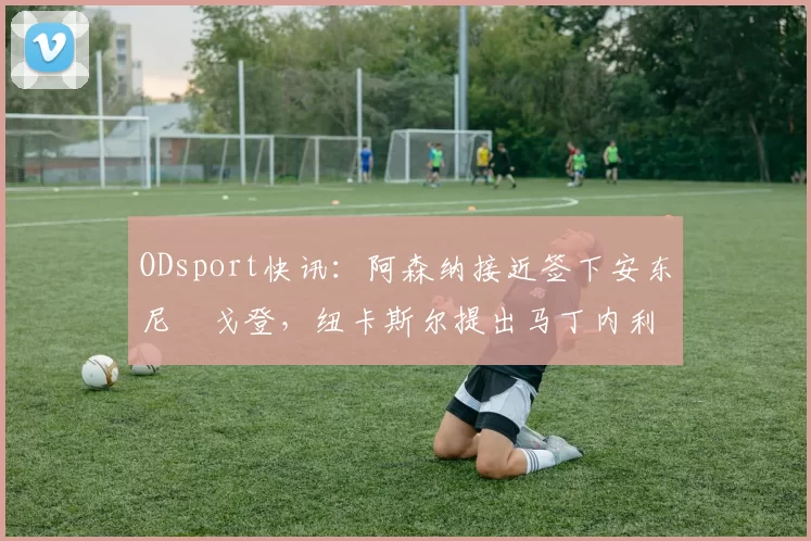 ODsport快讯：阿森纳接近签下安东尼・戈登，纽卡斯尔提出马丁内利交换条件_交易_球员_谈判