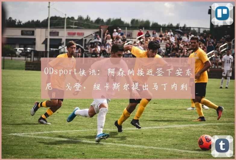 ODsport快讯：阿森纳接近签下安东尼・戈登，纽卡斯尔提出马丁内利交换条件_交易_球员_谈判