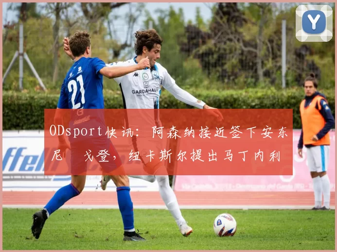ODsport快讯：阿森纳接近签下安东尼・戈登，纽卡斯尔提出马丁内利交换条件_交易_球员_谈判