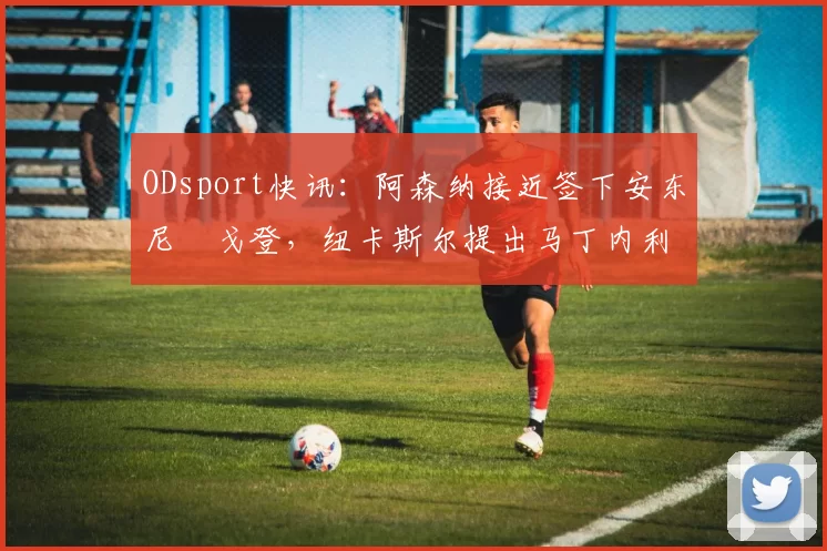 ODsport快讯：阿森纳接近签下安东尼・戈登，纽卡斯尔提出马丁内利交换条件_交易_球员_谈判