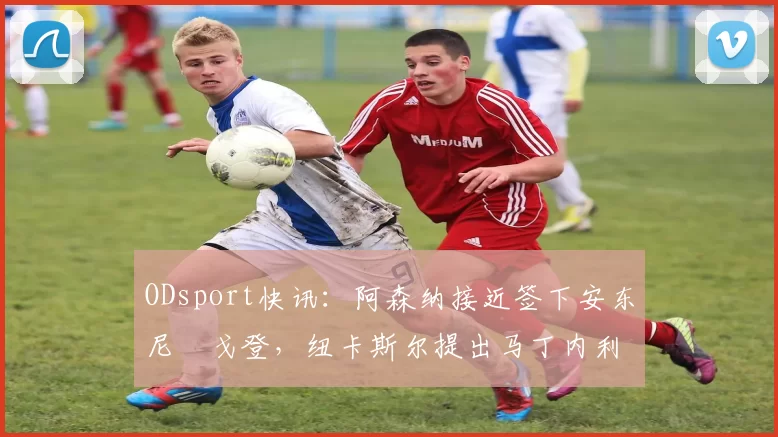 ODsport快讯：阿森纳接近签下安东尼・戈登，纽卡斯尔提出马丁内利交换条件_交易_球员_谈判