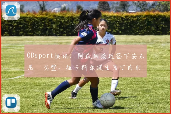 ODsport快讯：阿森纳接近签下安东尼・戈登，纽卡斯尔提出马丁内利交换条件_交易_球员_谈判