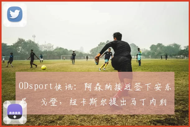 ODsport快讯：阿森纳接近签下安东尼・戈登，纽卡斯尔提出马丁内利交换条件_交易_球员_谈判