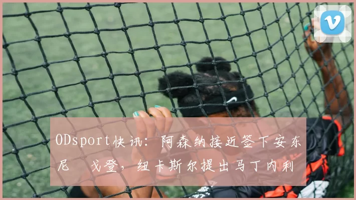 ODsport快讯：阿森纳接近签下安东尼・戈登，纽卡斯尔提出马丁内利交换条件_交易_球员_谈判