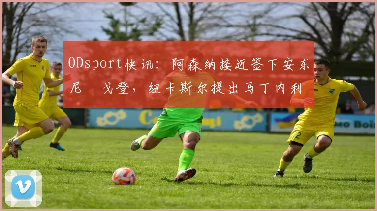 ODsport快讯：阿森纳接近签下安东尼・戈登，纽卡斯尔提出马丁内利交换条件_交易_球员_谈判