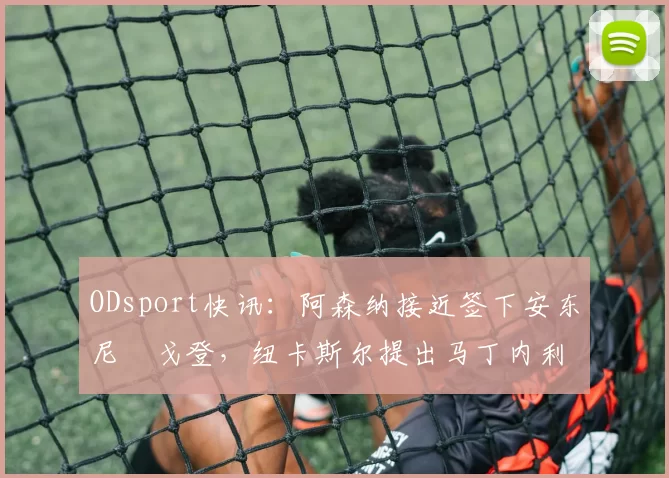 ODsport快讯:阿森纳接近签下安东尼・戈登,纽卡斯尔提出马丁内利交换条件_交易_球员_谈判