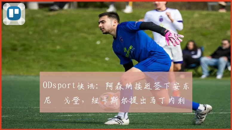 ODsport快讯：阿森纳接近签下安东尼・戈登，纽卡斯尔提出马丁内利交换条件_交易_球员_谈判