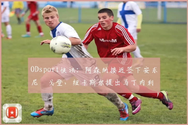 ODsport快讯：阿森纳接近签下安东尼・戈登，纽卡斯尔提出马丁内利交换条件_交易_球员_谈判