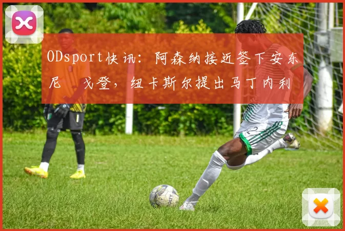 ODsport快讯：阿森纳接近签下安东尼・戈登，纽卡斯尔提出马丁内利交换条件_交易_球员_谈判