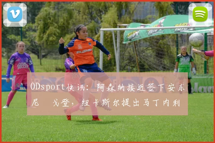 ODsport快讯：阿森纳接近签下安东尼・戈登，纽卡斯尔提出马丁内利交换条件_交易_球员_谈判