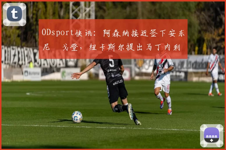 ODsport快讯：阿森纳接近签下安东尼・戈登，纽卡斯尔提出马丁内利交换条件_交易_球员_谈判