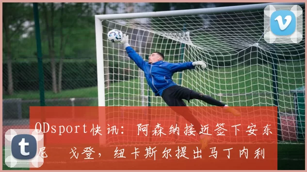 ODsport快讯：阿森纳接近签下安东尼・戈登，纽卡斯尔提出马丁内利交换条件_交易_球员_谈判