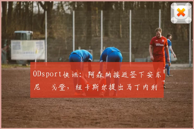 ODsport快讯：阿森纳接近签下安东尼・戈登，纽卡斯尔提出马丁内利交换条件_交易_球员_谈判