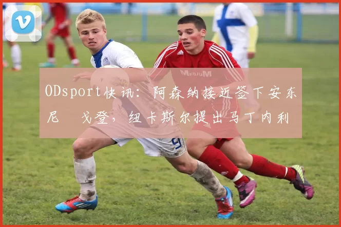 ODsport快讯：阿森纳接近签下安东尼・戈登，纽卡斯尔提出马丁内利交换条件_交易_球员_谈判