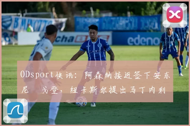 ODsport快讯：阿森纳接近签下安东尼・戈登，纽卡斯尔提出马丁内利交换条件_交易_球员_谈判