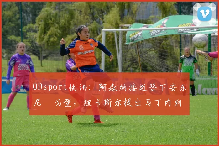 ODsport快讯:阿森纳接近签下安东尼・戈登,纽卡斯尔提出马丁内利交换条件_交易_球员_谈判