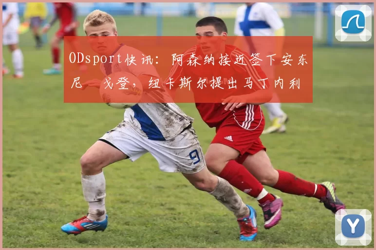 ODsport快讯：阿森纳接近签下安东尼・戈登，纽卡斯尔提出马丁内利交换条件_交易_球员_谈判