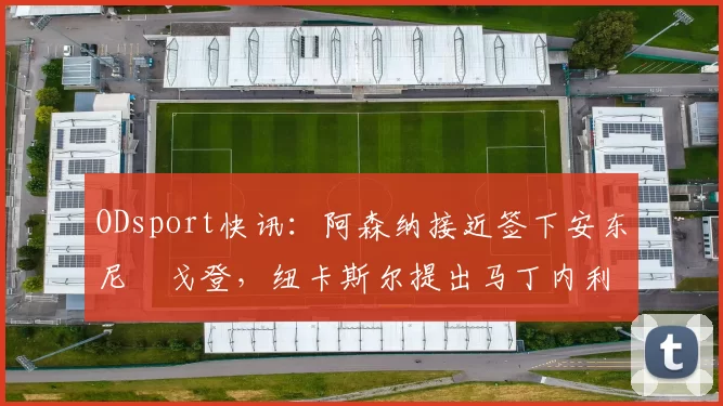 ODsport快讯：阿森纳接近签下安东尼・戈登，纽卡斯尔提出马丁内利交换条件_交易_球员_谈判