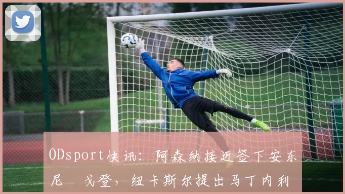 ODsport快讯：阿森纳接近签下安东尼・戈登，纽卡斯尔提出马丁内利交换条件_交易_球员_谈判