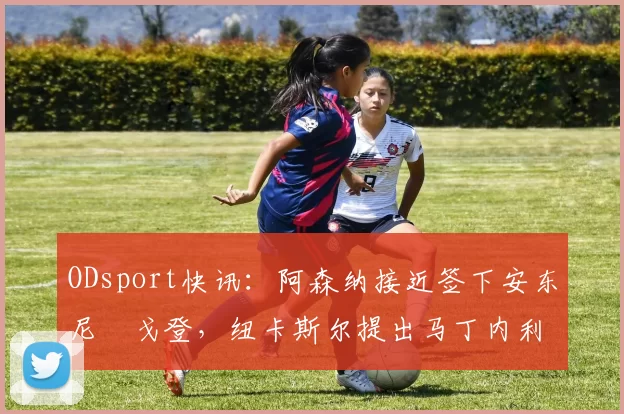 ODsport快讯：阿森纳接近签下安东尼・戈登，纽卡斯尔提出马丁内利交换条件_交易_球员_谈判
