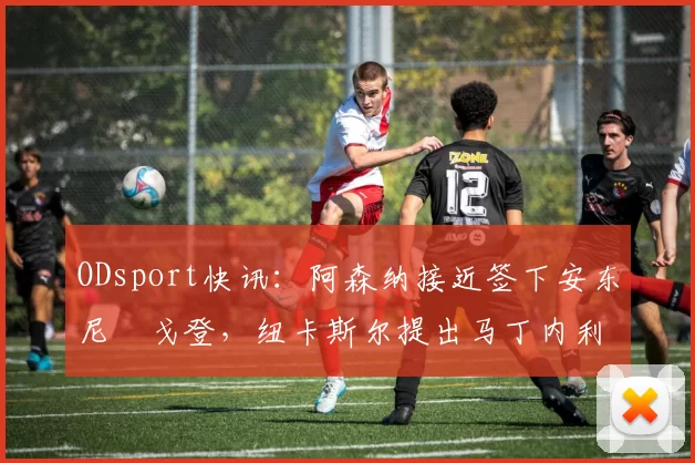 ODsport快讯：阿森纳接近签下安东尼・戈登，纽卡斯尔提出马丁内利交换条件_交易_球员_谈判