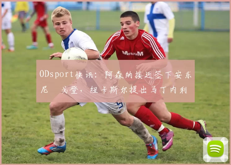 ODsport快讯：阿森纳接近签下安东尼・戈登，纽卡斯尔提出马丁内利交换条件_交易_球员_谈判