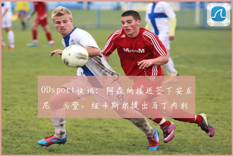 ODsport快讯：阿森纳接近签下安东尼・戈登，纽卡斯尔提出马丁内利交换条件_交易_球员_谈判