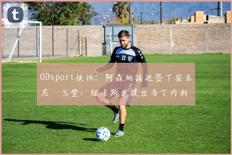 ODsport快讯:阿森纳接近签下安东尼・戈登,纽卡斯尔提出马丁内利交换条件_交易_球员_谈判
