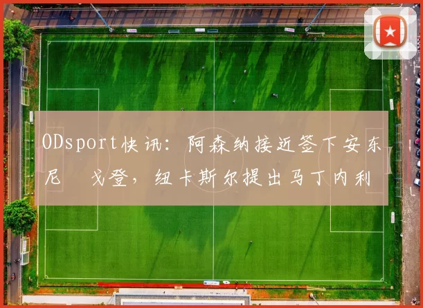 ODsport快讯：阿森纳接近签下安东尼・戈登，纽卡斯尔提出马丁内利交换条件_交易_球员_谈判