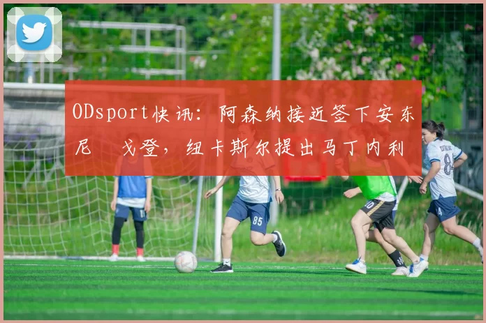 ODsport快讯：阿森纳接近签下安东尼・戈登，纽卡斯尔提出马丁内利交换条件_交易_球员_谈判