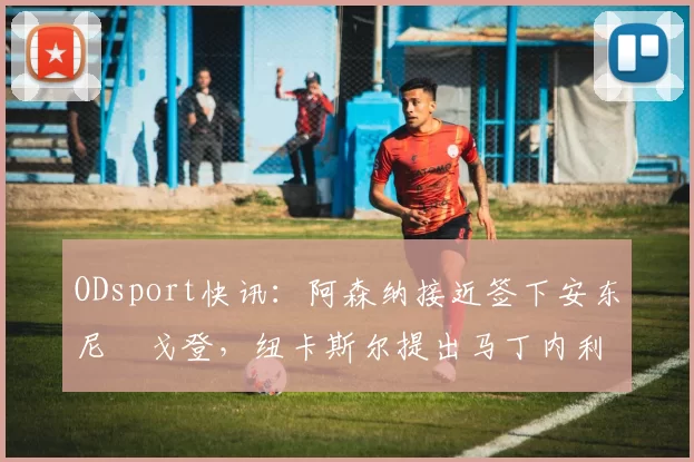 ODsport快讯：阿森纳接近签下安东尼・戈登，纽卡斯尔提出马丁内利交换条件_交易_球员_谈判