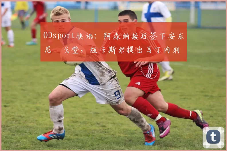 ODsport快讯：阿森纳接近签下安东尼・戈登，纽卡斯尔提出马丁内利交换条件_交易_球员_谈判