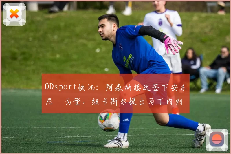 ODsport快讯：阿森纳接近签下安东尼・戈登，纽卡斯尔提出马丁内利交换条件_交易_球员_谈判