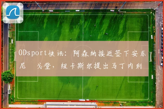 ODsport快讯：阿森纳接近签下安东尼・戈登，纽卡斯尔提出马丁内利交换条件_交易_球员_谈判