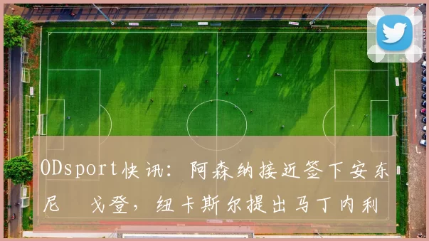 ODsport快讯：阿森纳接近签下安东尼・戈登，纽卡斯尔提出马丁内利交换条件_交易_球员_谈判