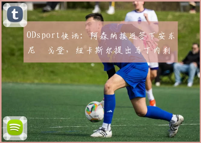 ODsport快讯：阿森纳接近签下安东尼・戈登，纽卡斯尔提出马丁内利交换条件_交易_球员_谈判