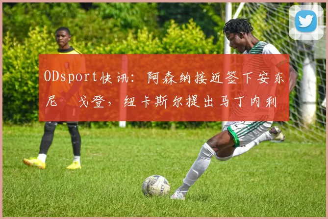 ODsport快讯：阿森纳接近签下安东尼・戈登，纽卡斯尔提出马丁内利交换条件_交易_球员_谈判