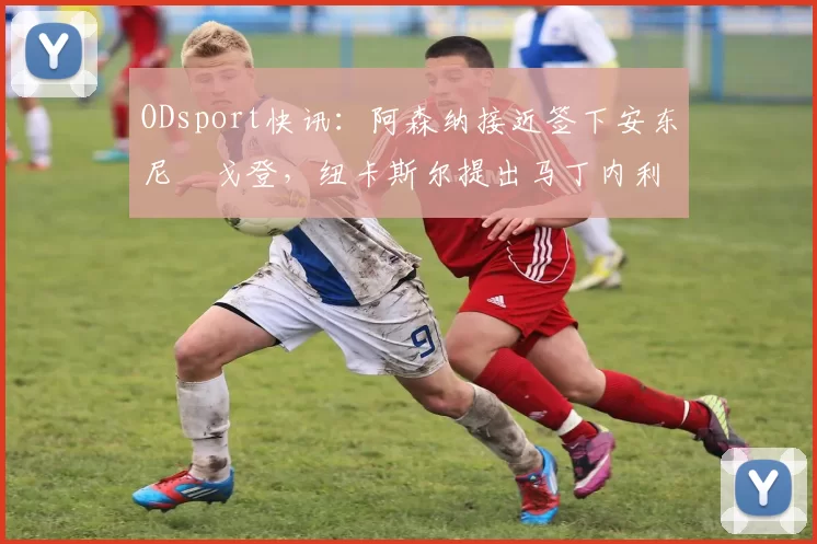 ODsport快讯：阿森纳接近签下安东尼・戈登，纽卡斯尔提出马丁内利交换条件_交易_球员_谈判