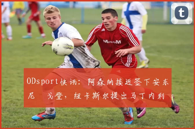 ODsport快讯：阿森纳接近签下安东尼・戈登，纽卡斯尔提出马丁内利交换条件_交易_球员_谈判