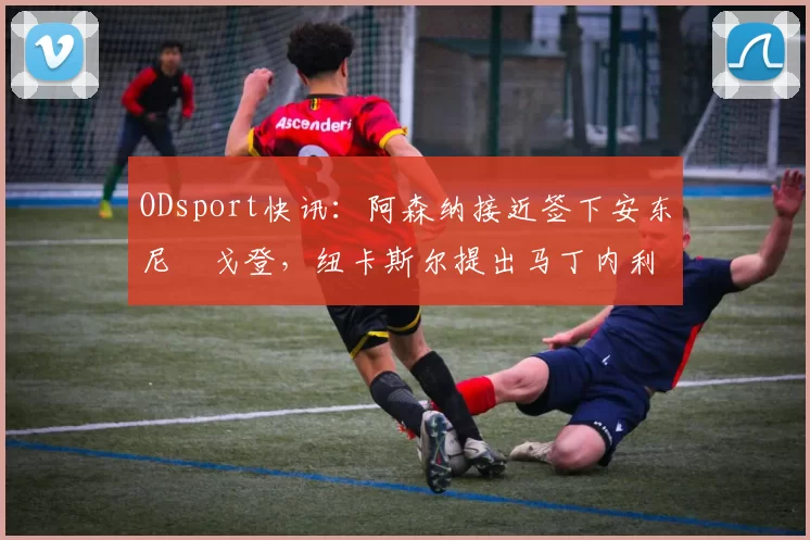 ODsport快讯：阿森纳接近签下安东尼・戈登，纽卡斯尔提出马丁内利交换条件_交易_球员_谈判