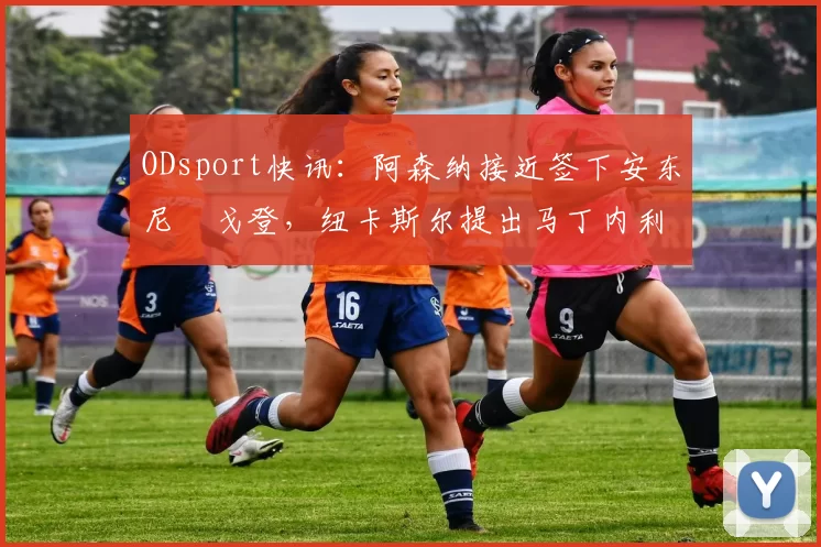 ODsport快讯：阿森纳接近签下安东尼・戈登，纽卡斯尔提出马丁内利交换条件_交易_球员_谈判