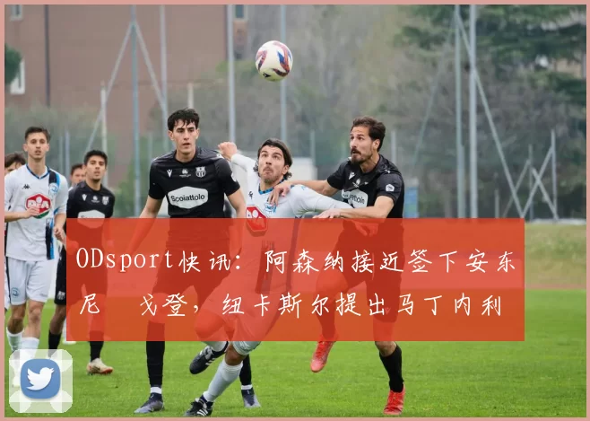 ODsport快讯：阿森纳接近签下安东尼・戈登，纽卡斯尔提出马丁内利交换条件_交易_球员_谈判