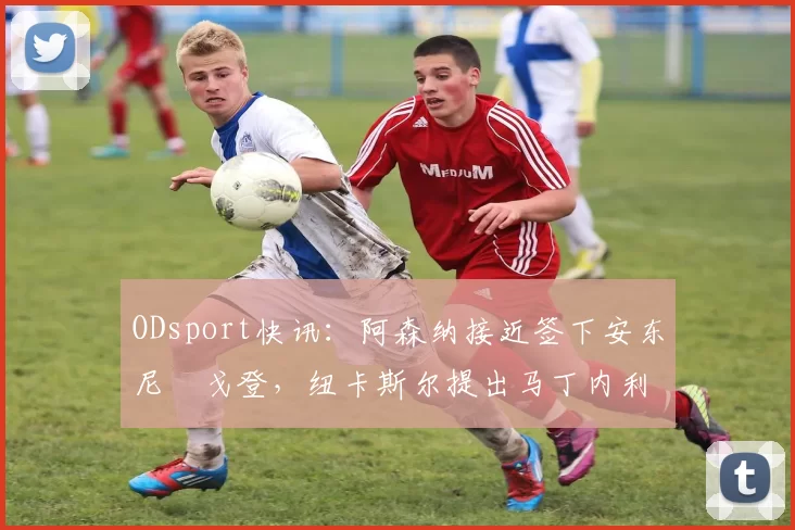 ODsport快讯：阿森纳接近签下安东尼・戈登，纽卡斯尔提出马丁内利交换条件_交易_球员_谈判