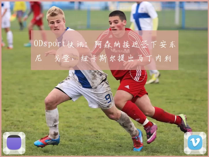 ODsport快讯：阿森纳接近签下安东尼・戈登，纽卡斯尔提出马丁内利交换条件_交易_球员_谈判