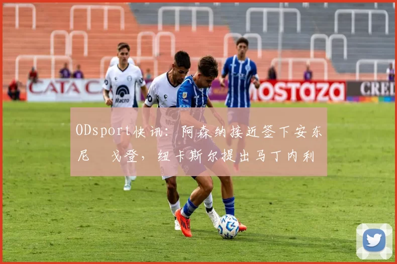 ODsport快讯：阿森纳接近签下安东尼・戈登，纽卡斯尔提出马丁内利交换条件_交易_球员_谈判
