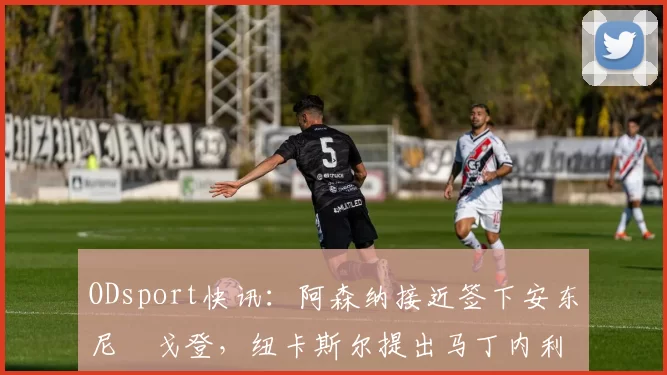 ODsport快讯：阿森纳接近签下安东尼・戈登，纽卡斯尔提出马丁内利交换条件_交易_球员_谈判