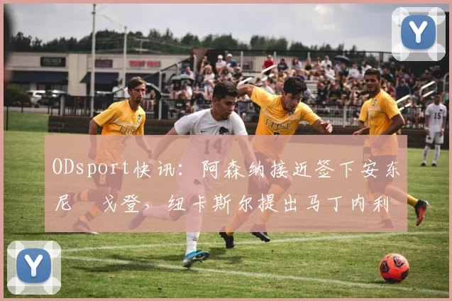 ODsport快讯:阿森纳接近签下安东尼・戈登,纽卡斯尔提出马丁内利交换条件_交易_球员_谈判