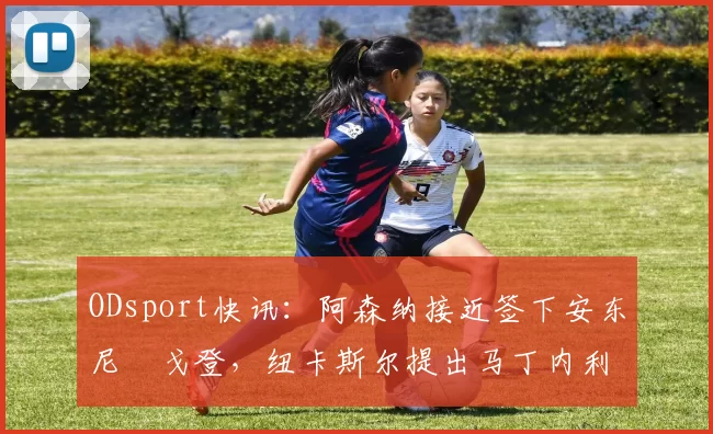 ODsport快讯：阿森纳接近签下安东尼・戈登，纽卡斯尔提出马丁内利交换条件_交易_球员_谈判