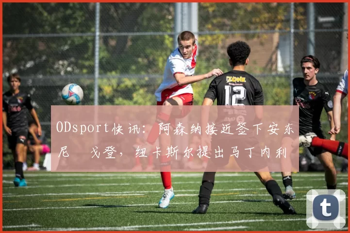 ODsport快讯:阿森纳接近签下安东尼・戈登,纽卡斯尔提出马丁内利交换条件_交易_球员_谈判