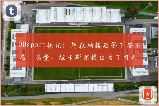 ODsport快讯:阿森纳接近签下安东尼・戈登,纽卡斯尔提出马丁内利交换条件_交易_球员_谈判